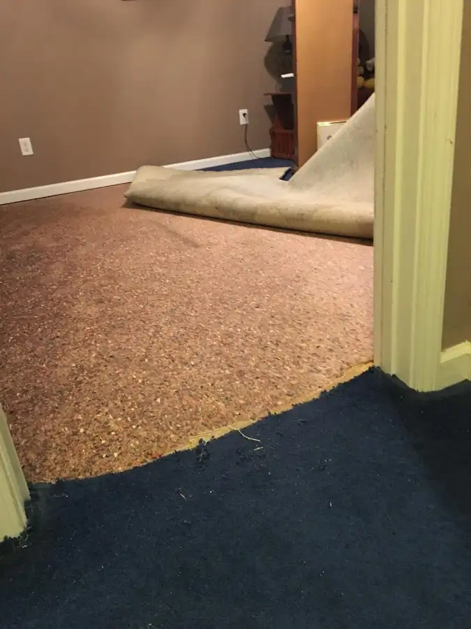 Carpet pad removal revealing water damage during Water Mitigation Services in Mayfield