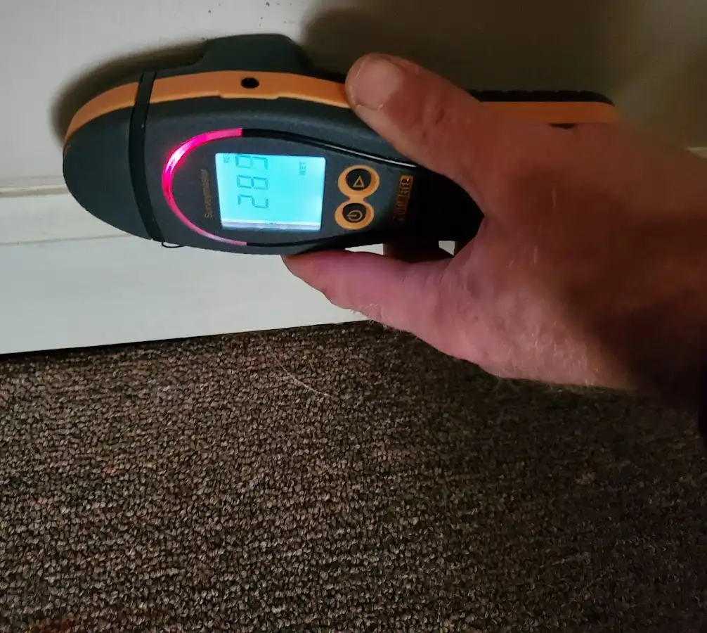 Moisture detection at baseboard during Sewage Cleanup & Sanitation in Mayfield